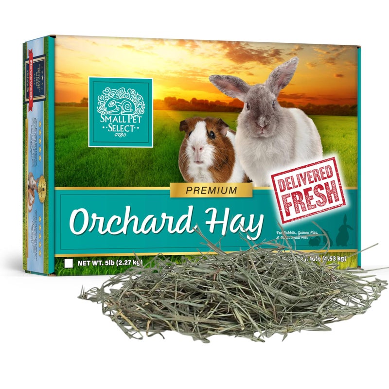 Small Pet Select Orchard Grass Hay Pet Food for Rabbits, Guinea Pigs, Chinchillas and Other Small Animals, Premium Natural Hay Grown in The US, 5 LB - Image 1